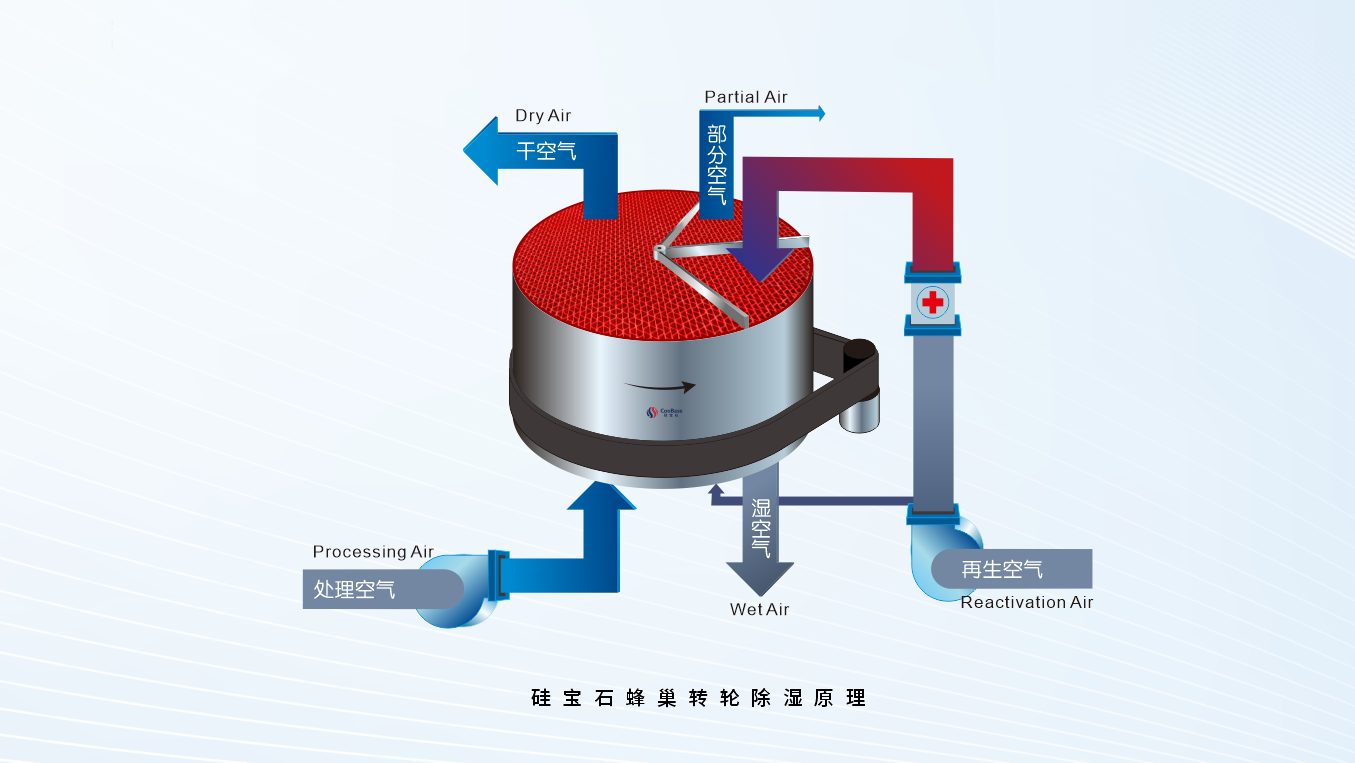 亚洲男女在线观看视频